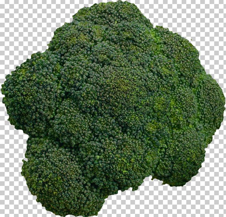 Cauliflower Cabbage Kale Vegetable PNG, Clipart, Brassica Oleracea, Broccoflower, Broccoli, Cartoon Cauliflower, Cauliflower Frozen Free PNG Download