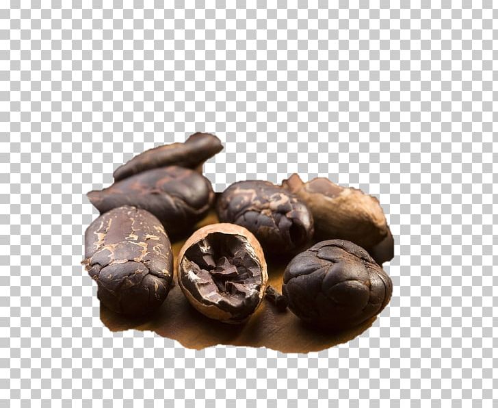 Chocolate-coated Peanut Praline Tree Nut Allergy PNG, Clipart, Beans, Chocolate, Chocolatecoated Peanut, Chocolate Coated Peanut, Cocoa Free PNG Download