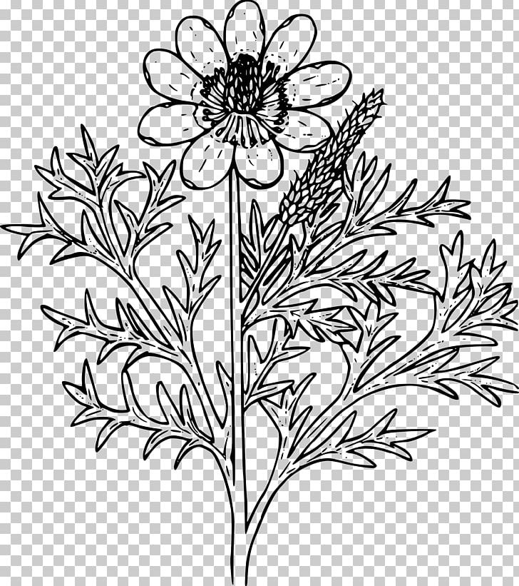 Floral Design Wildflower PNG, Clipart, Black And White, Branch, Child, Chrysanths, Color Free PNG Download