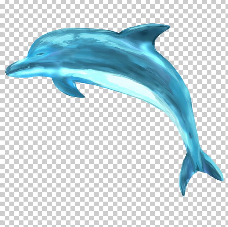 Striped Dolphin Common Bottlenose Dolphin Short-beaked Common Dolphin Spinner Dolphin Rough-toothed Dolphin PNG, Clipart, Animals, Bottlenose Dolphin, Fauna, Mammal, Marine Biology Free PNG Download