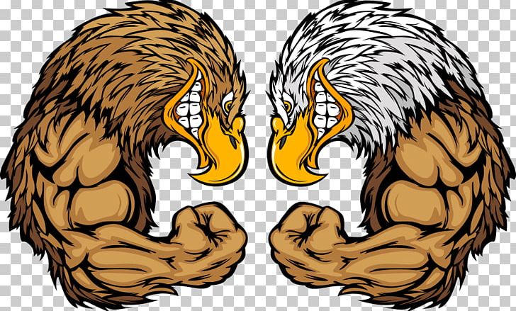 Bald Eagle Golden Eagle Cartoon PNG, Clipart, Animals, Arm Muscle, Beak, Big Cats, Bird Free PNG Download