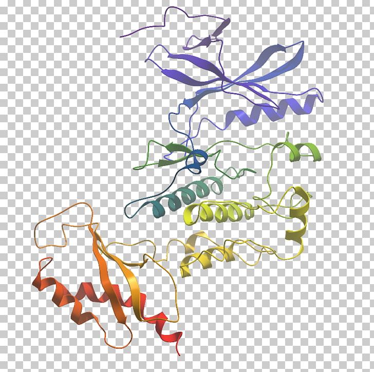 Illustration Graphic Design WNK Lysine Deficient Protein Kinase 3 PNG, Clipart, Area, Art, Artwork, Branch, Enzyme Free PNG Download