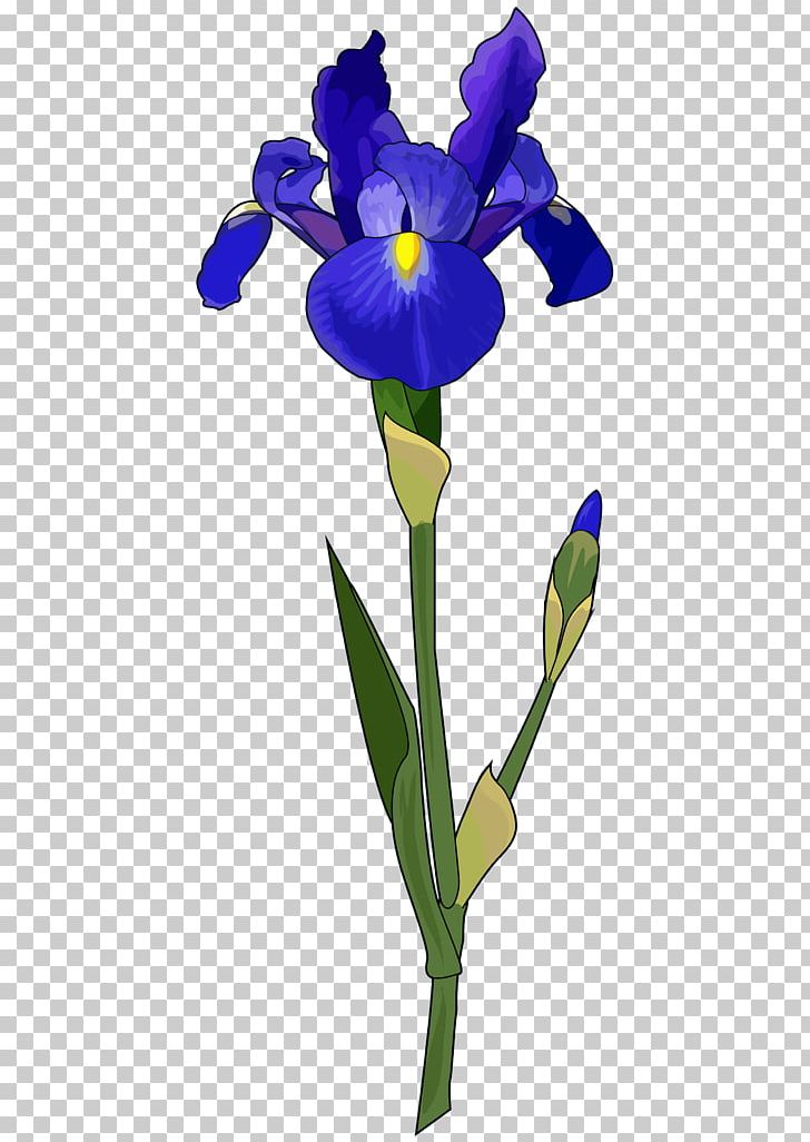 Irises Plant Stem Iris Flower Data Set Bulb PNG, Clipart, Bulb, Cattleya, Color, Cut Flowers, Flower Free PNG Download