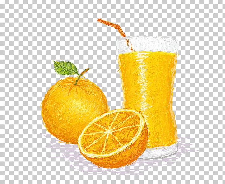 Orange Juice PNG, Clipart, Citric Acid, Citrus, Clement, Diet Food, Drawing Free PNG Download