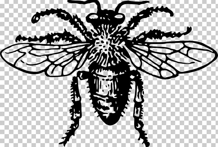 Honey Bee Insect PNG, Clipart, Animal, Arthropod, Bee, Beehive, Black And White Free PNG Download