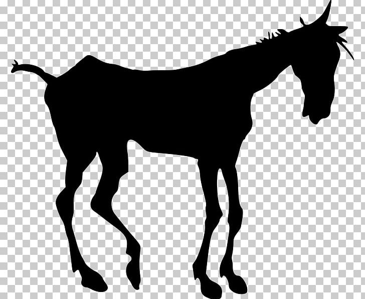 Horse Equestrian Old Nag PNG, Clipart, Animal, Animals, Black, Black And White, Comp Free PNG Download