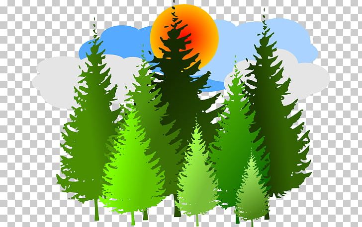 Temperate Coniferous Forest Free Content PNG, Clipart, Biome, Blog, Computer Wallpaper, Conifer, Evergreen Free PNG Download