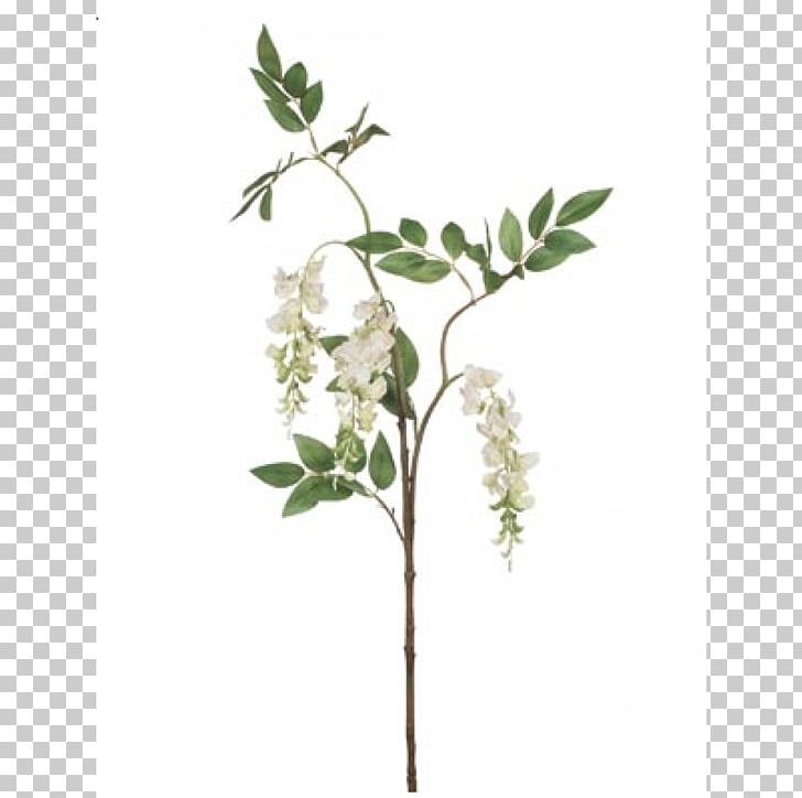 Flower Branch Twig Plant Stem Tree PNG, Clipart, Branch, Cut Flowers, Flora, Floral Design, Flower Free PNG Download