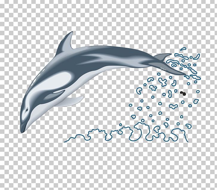 Common Bottlenose Dolphin PNG, Clipart, Animals, Automotive Design, Bottlenose Dolphin, Common Bottlenose Dolphin, Creature Free PNG Download