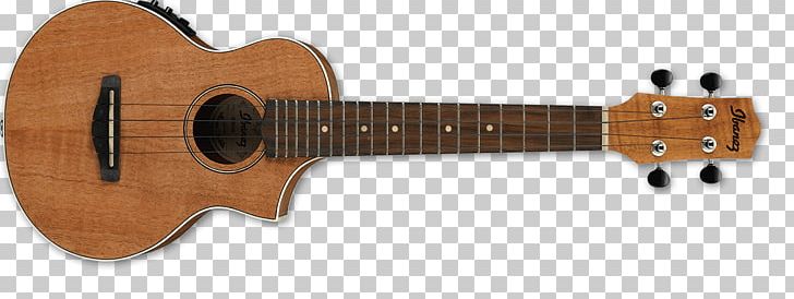 Ibanez Electric Guitar String Instruments Guitarist PNG, Clipart, Aco, Acoustic Electric Guitar, Cuatro, Guitar Accessory, Guitarist Free PNG Download