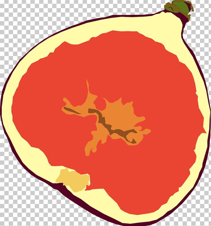 Mission Fig Drawing Fruit Tree PNG, Clipart, Area, Artwork, Cartoon, Common Fig, Download Free PNG Download