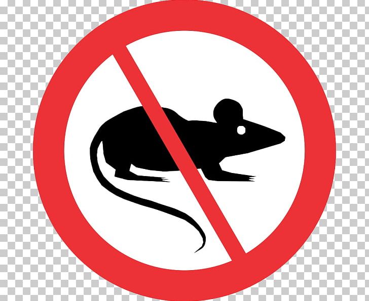 No Rats Mouse Captains Draft 4.0 Rodent PNG, Clipart, Animals, Area, Artwork, Brand, Captains Draft 40 Free PNG Download