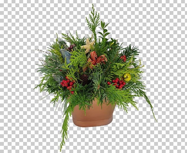 Christmas Tree Christmas Decoration Flower PNG, Clipart, Christmas Decoration, Christmas Ornament, Christmas Tree, Conifer, Conifers Free PNG Download