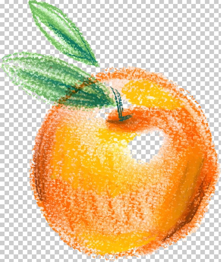 Clementine Apple Icon PNG, Clipart, Apple Fruit, Auglis, Citrus, Diet Food, Download Free PNG Download
