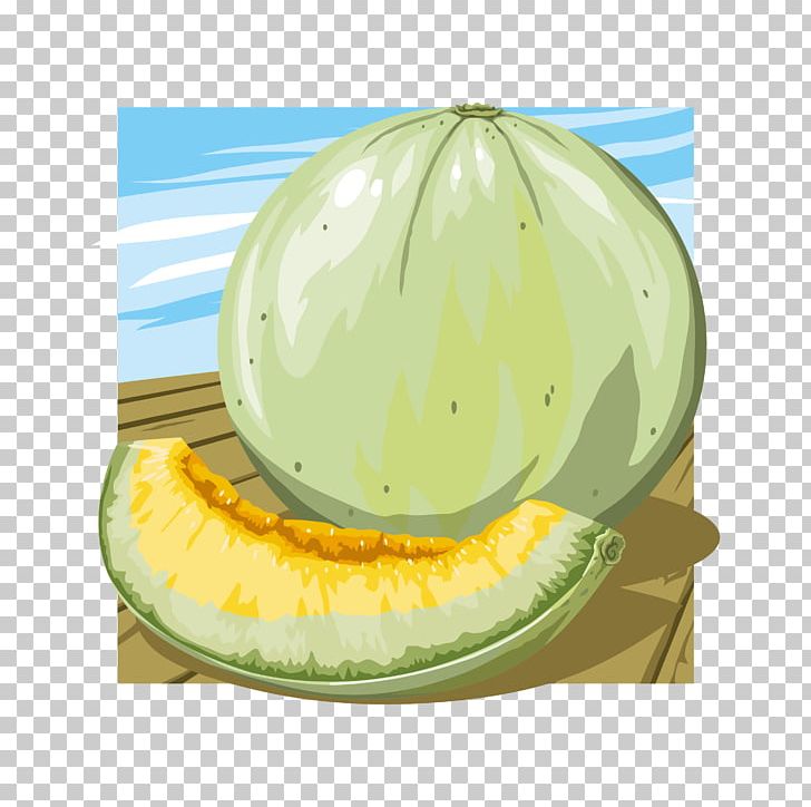 Watermelon Hami Melon Cantaloupe Fruit PNG, Clipart, Background Vector, Bitter Melon, Cantaloupe, Citrullus, Food Free PNG Download