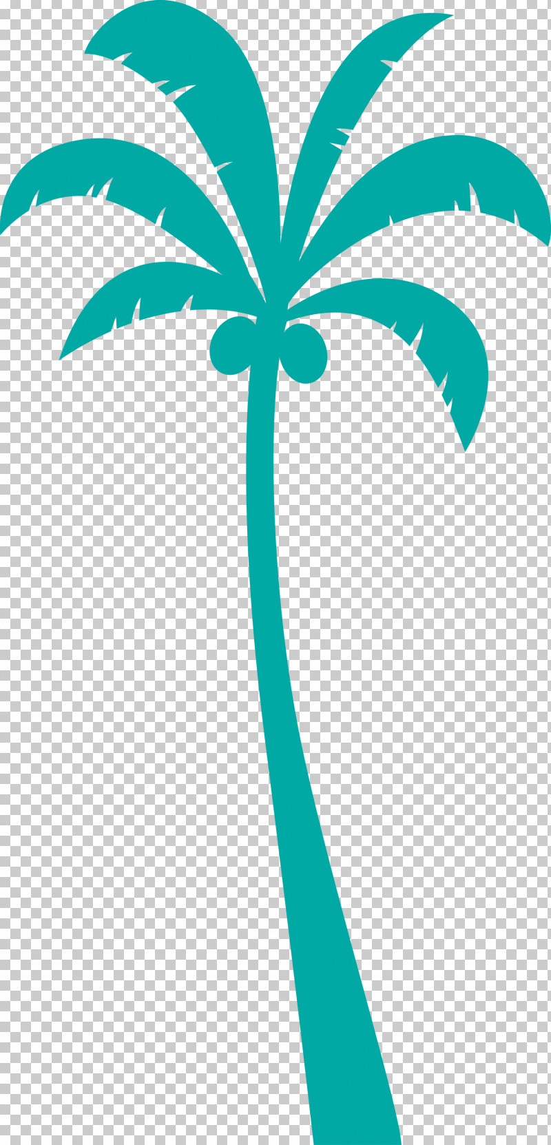 Palm Trees PNG, Clipart, Area, Beach, Biology, Cartoon Tree, Leaf Free PNG Download