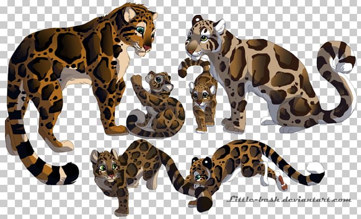 Clouded Leopard Pumas Tiger Felidae PNG, Clipart, Animals, Art, Big Cat, Big Cats, Carnivoran Free PNG Download