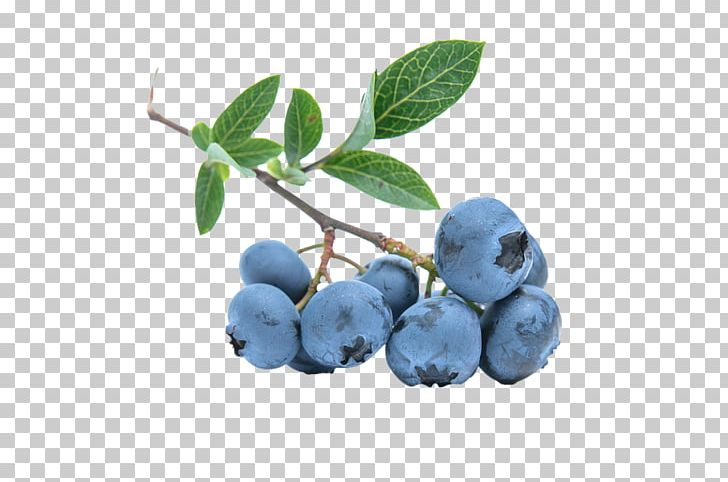 Ice Cream Muesli Bilberry European Blueberry PNG, Clipart, Berry, Bilberry, Blue, Blueberries, Blueberries Png Free PNG Download