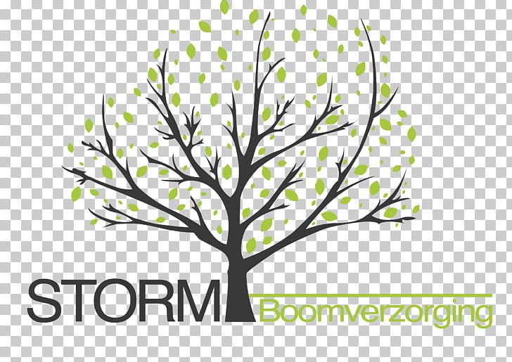 Twig Storm Boomverzorging Arboriculture Tree Branch PNG, Clipart, Advertising, Arboriculture, Arborist, Boom Logo, Branch Free PNG Download