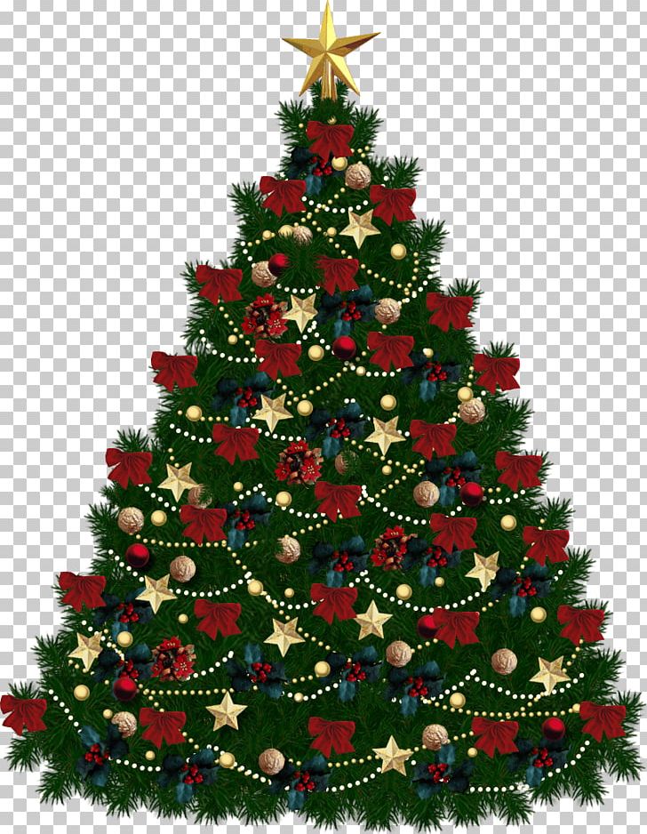 Christmas Tree Fir PNG, Clipart, Bild, Christmas, Christmas Decoration, Christmas Ornament, Christmas Tree Free PNG Download