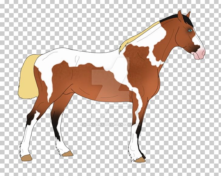 Foal Mane Stallion Mare Mustang PNG, Clipart, Bridle, Colt, Foal, Halter, Horse Free PNG Download
