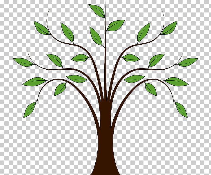 Tree PNG, Clipart, Artwork, Branch, Christmas Tree, Download, Flower Free PNG Download