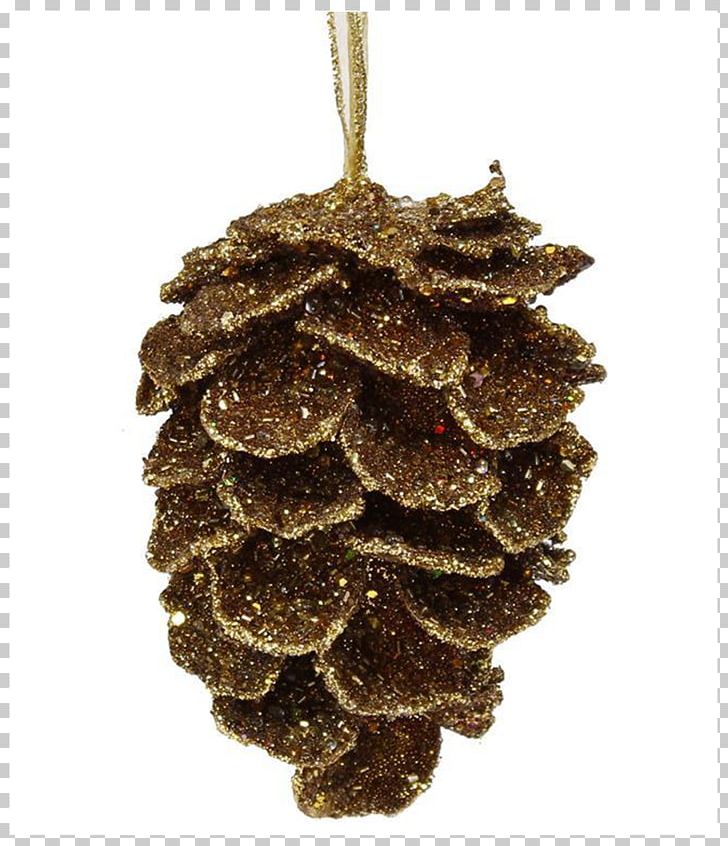 Conifer Cone Picea Mariana Ornament Fir Bead PNG, Clipart, Bead, Beadwork, Christmas Ornament, Cone, Conifer Free PNG Download