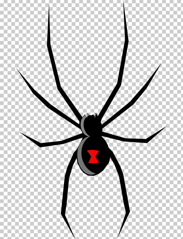 Spider Web Brown Widow Drawing PNG, Clipart, Arachnid, Art, Arthropod, Artwork, Black And White Free PNG Download