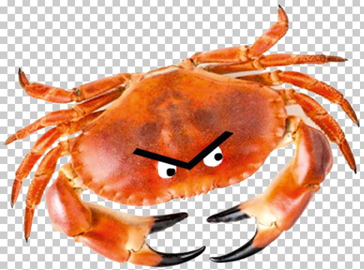 Cheer Up Love: Adventures In Depression With The Crab Of Hate Dungeness Crab King Crab Comedian PNG, Clipart, Animals, Animal Source Foods, Chee, Cheer Up, Comedian Free PNG Download