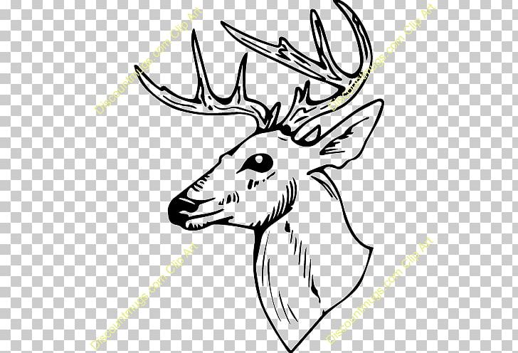 Coloring Book White-tailed Deer PNG, Clipart, Animals, Antler, Artwork, Black And White, Book Free PNG Download