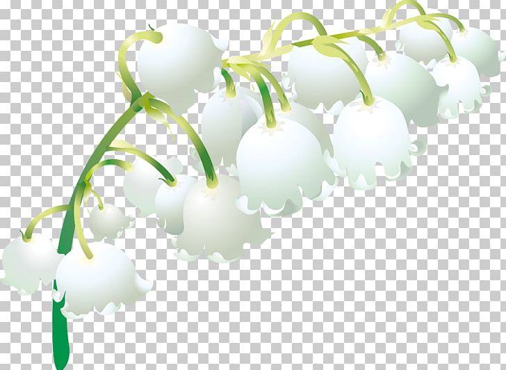 May 1 Flower Plant Stem Petal PNG, Clipart, Branch, Branching, Flower, Lily Of The Valley, May 1 Free PNG Download