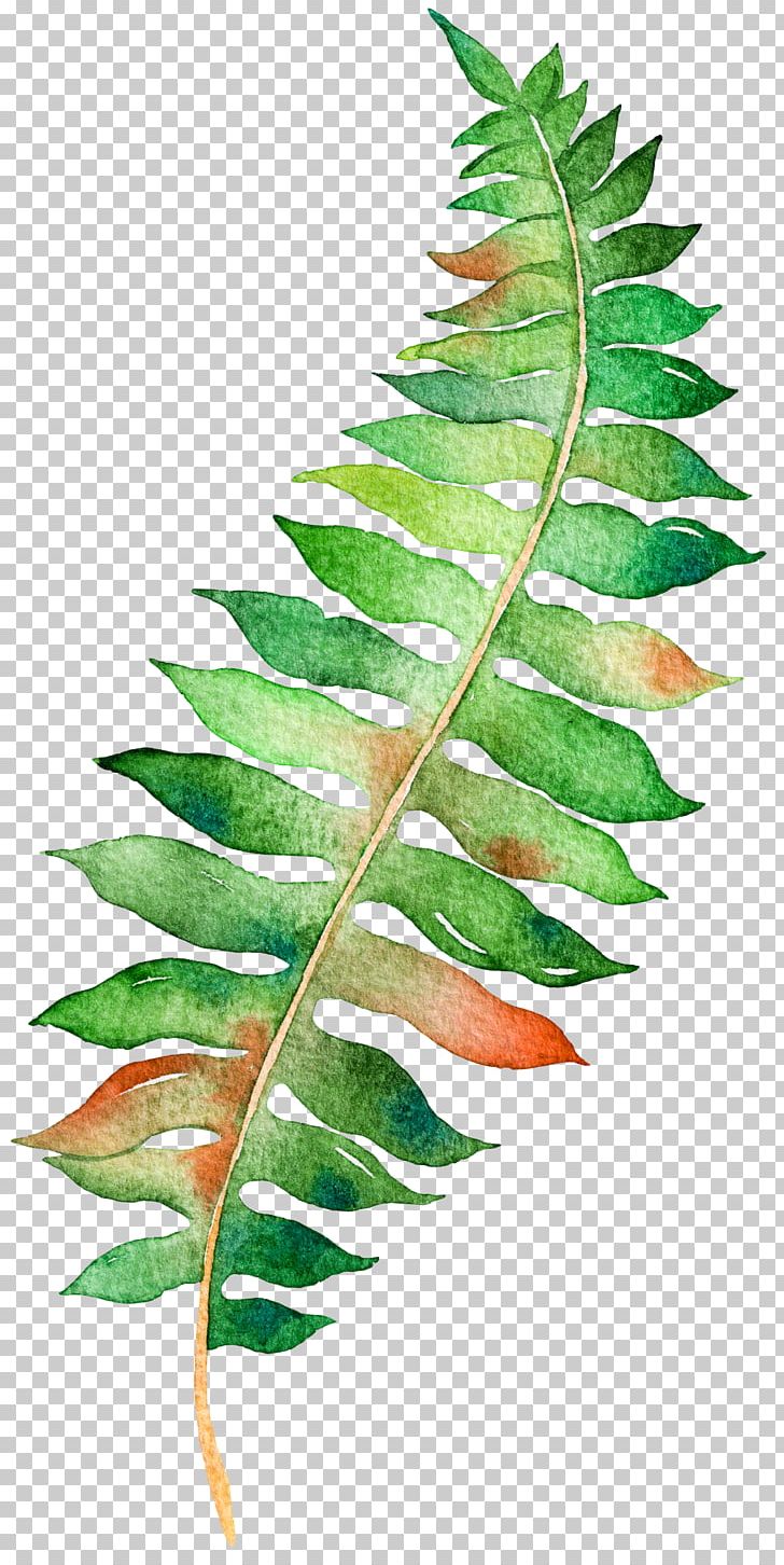Paper Poster Watercolor Painting Illustration PNG, Clipart, Applied Arts, Art, Autumn Leaves, Banana Leaves, Drawing Free PNG Download