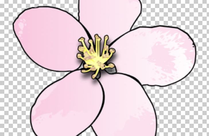Graphics Blossom Open PNG, Clipart, Artwork, Blossom, Can Stock Photo, Cherry Blossom, Cut Flowers Free PNG Download