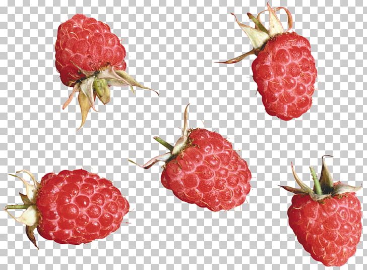 Raspberry PNG, Clipart, Raspberry Free PNG Download