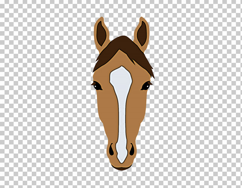 Head Nose Snout Horse Ear PNG, Clipart, Ear, Head, Horse, Liver, Mane Free PNG Download