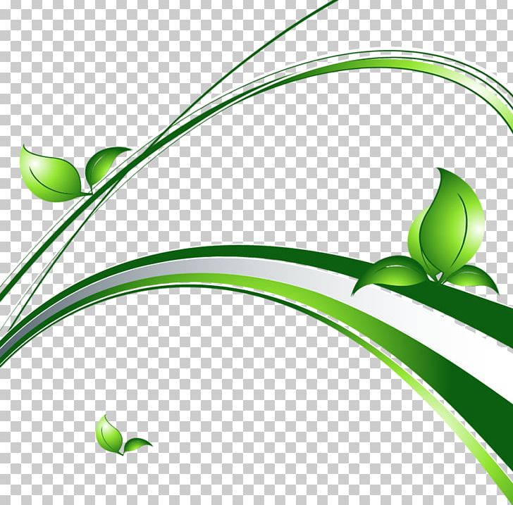 Herbaceous Plant Leaf Graphics PNG, Clipart, Albom, Ansichtkaart, Branch, Flora, Flower Free PNG Download
