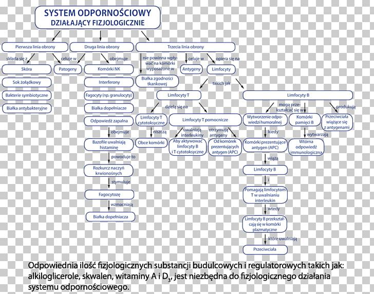 Marinex International. Sp. Z O.o. Disease Medicine Health Diagram PNG, Clipart, Allergy, Chemical Substance, Coronary Artery Disease, Diagram, Diet Free PNG Download