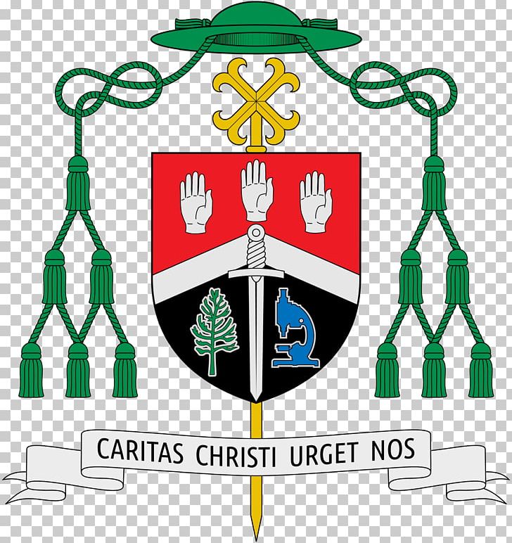 Roman Catholic Archdiocese Of Agaña Bishop Catholicism Pope PNG, Clipart, Area, Auxiliary Bishop, Bishop, Brand, Catholic Church Free PNG Download