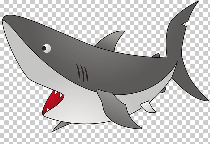 Shark Fin Soup Child Great White Shark PNG, Clipart, Animals, Basking Shark, Bedroom, Blue Shark, Bull Shark Free PNG Download