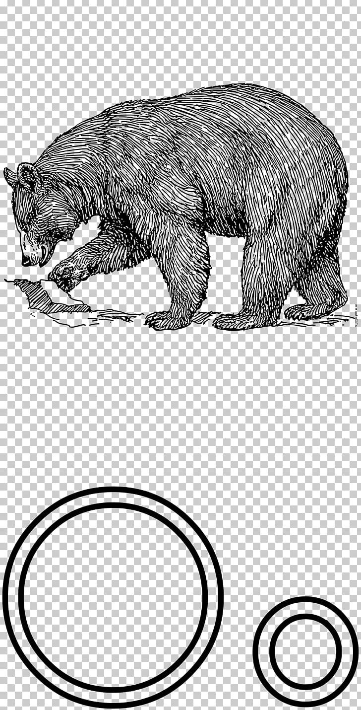 American Black Bear Polar Bear Brown Bear PNG, Clipart, Alfabeto, American Black Bear, Animal Figure, Animals, Bear Free PNG Download