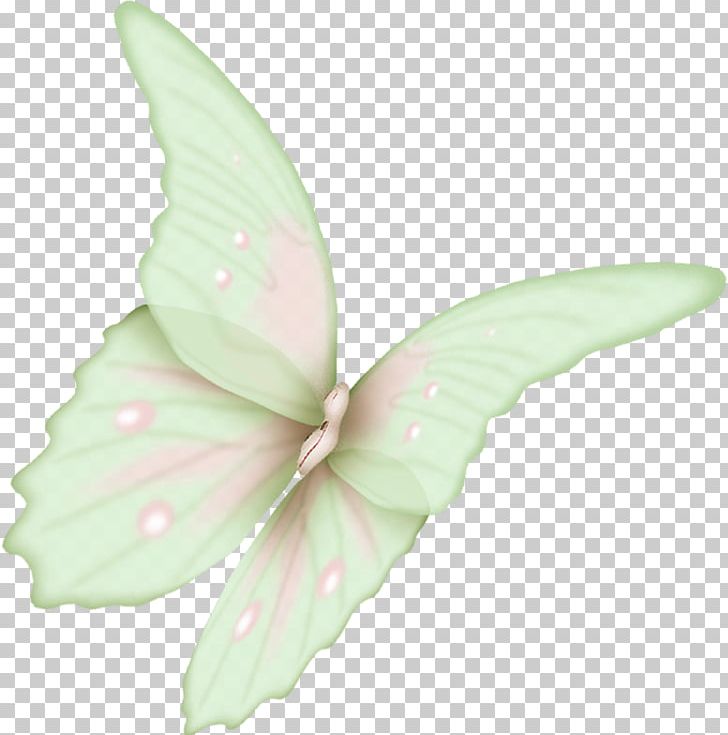 Butterfly Flight Wing Icon PNG, Clipart, Animal, Butterflies, Butterflies And Moths, Butterfly Group, Butterfly Wings Free PNG Download