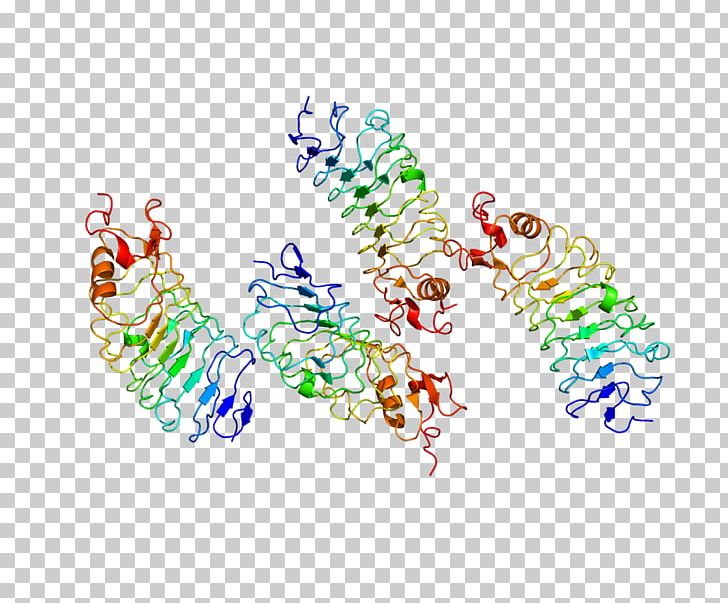 SLIT2 Protein Structure Pleiotropy PNG, Clipart, Art, Axon Guidance, Body Jewelry, Cell, Cell Membrane Free PNG Download