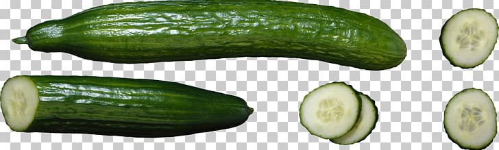 ArcheAge Cucumber Icon Computer File PNG, Clipart, Computer Icons, Cucumber, Cucumber Gourd And Melon Family, Cucumber Png, Cucumis Free PNG Download