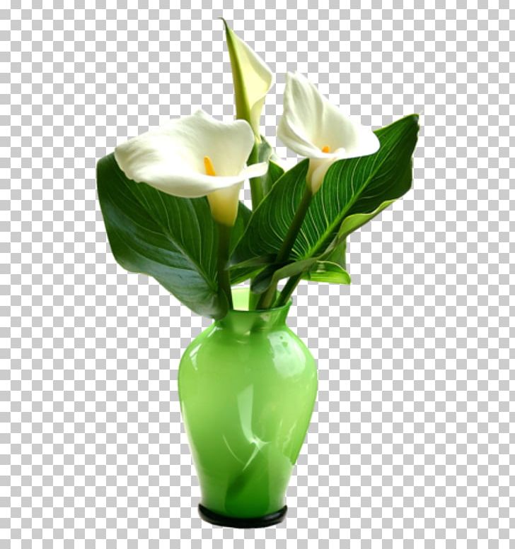 Flower Vase Floral Design PNG, Clipart, Akhmad Kadyrov Mosque, Artificial Flower, Arum, Calas, Cicek Free PNG Download