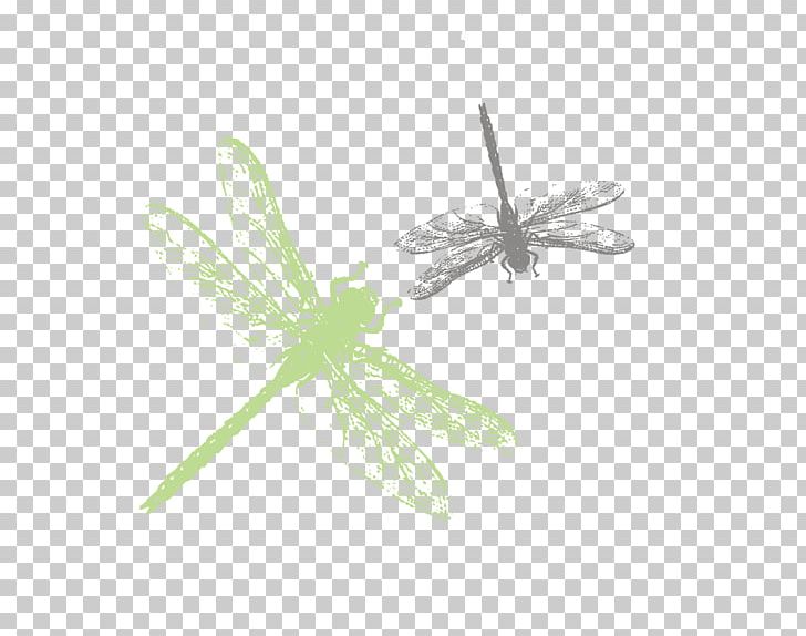 Insect Green Pattern PNG, Clipart, Dragonfly, Dragonfly Vector, Grass, Hand, Happy Birthday Vector Images Free PNG Download