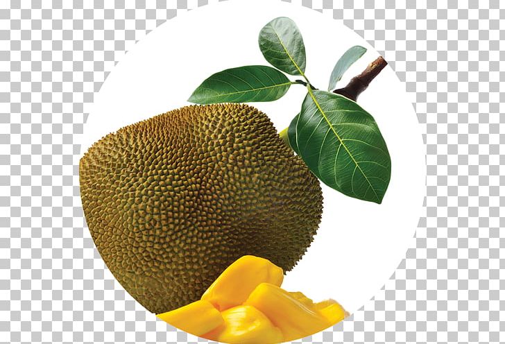 Jackfruit Fruit Tree Food Vegetable PNG, Clipart, Citrus, Dried Fruit, Eating, Food, Food Drinks Free PNG Download