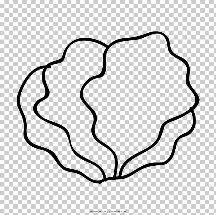 Drawing Salad Lettuce Coloring Book Line Art PNG, Clipart, Area, Artwork, Black, Black And White, Circle Free PNG Download