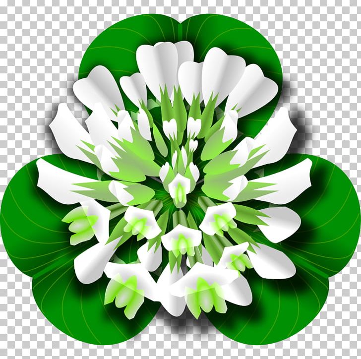 White Clover Red Clover Four-leaf Clover PNG, Clipart, Clover, Clover Pictures, Computer Icons, Flower, Flowering Plant Free PNG Download