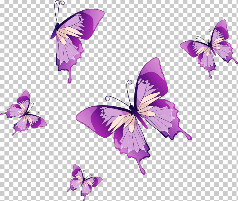 Monarch Butterfly PNG, Clipart, Brushfooted Butterflies, Butterflies, Insect, Lepidoptera, Milkweed Butterflies Free PNG Download