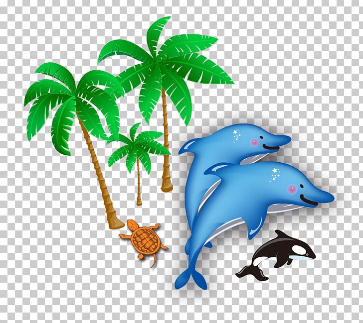 Dolphin Beach Sea PNG, Clipart, Amusement, Amusement Park, Animals, Aquarium, Coast Free PNG Download